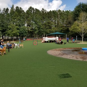 Newtown Dog Park - Playgrounds Near Me - Johns Creek, Georgia Newtown Dog Park - Playgrounds Near Me - Johns Creek, Georgia