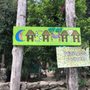 Photo of Ixchel Jungle Spa