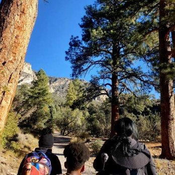 Eagles Nest Trail - Fun times! - Hiking Near Me - Mount Charleston, Nevada