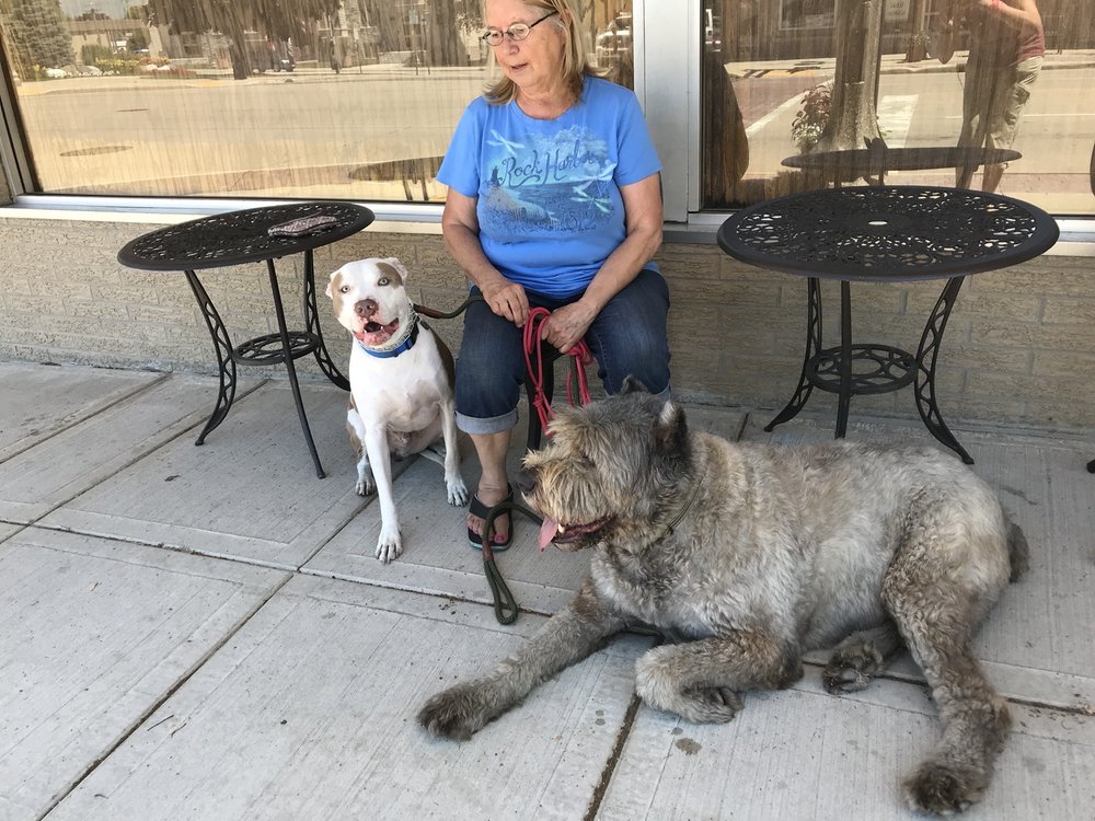 DIRTY PAWS Updated August 2024 1612 12th St, Two Rivers, Wisconsin