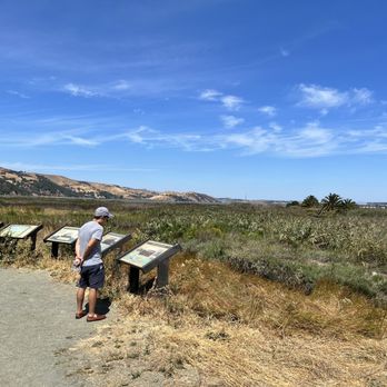 RADKE MARTINEZ REGIONAL SHORELINE Updated April 2025 418 Photos