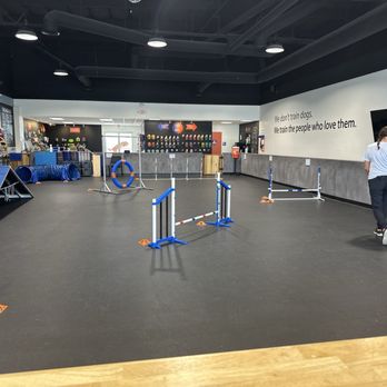 Zoom Room Dog Training - Zoom room - Pet Training Near Me - San Diego, California