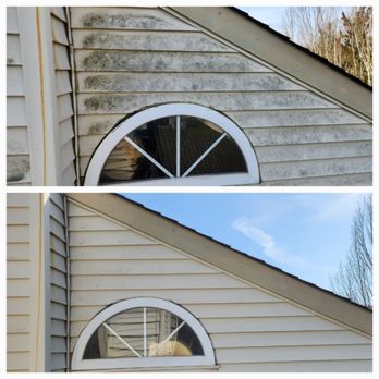Payne's Pressure Washing - House Wash in Galloway Township, NJ - Pressure Washers Near Me - Port Republic, New Jersey Payne's Pressure Washing - House Wash in Galloway Township, NJ - Pressure Washers Near Me - Port Republic, New Jersey