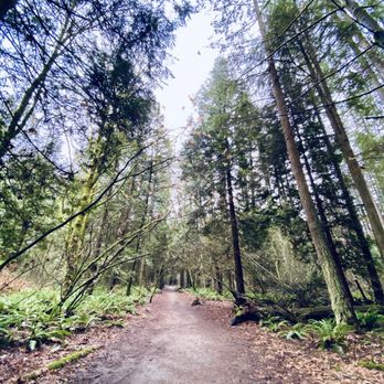 Crescent Park - Parks Near Me - Surrey, British Columbia Crescent Park - Parks Near Me - Surrey, British Columbia