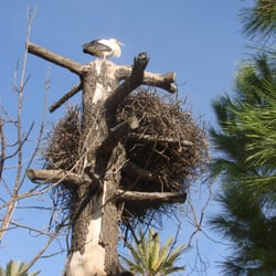 Zoo de Jerez