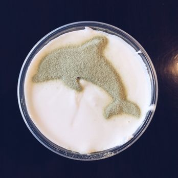 Dolphin Bay - Sea Salt Creme - Taiwanese Near Me - Boston, Massachusetts