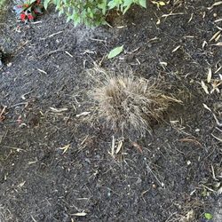 Rustic Roots Garden Center