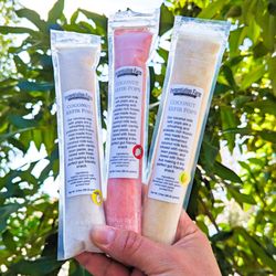 Coconut Kefir Pops
