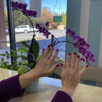 La Vie Nail & Spa - Manicure - Massage Near Me - Charlottesville, Virginia La Vie Nail & Spa - Manicure - Massage Near Me - Charlottesville, Virginia