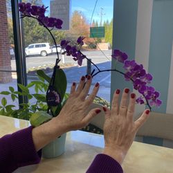 La Vie Nail & Spa - Manicure