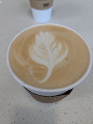 Zocalo Coffeehouse by null