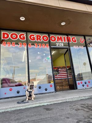 Adorable Pet Grooming Salon by null