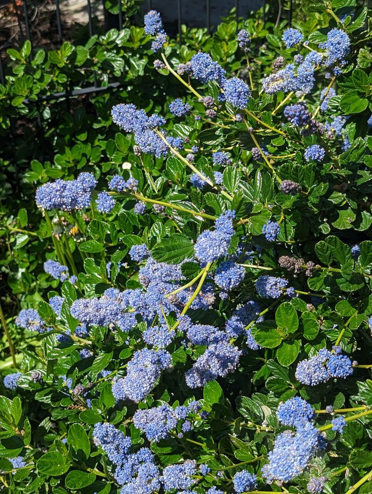 City Slicker Farms - social services organization in Oakland, CA