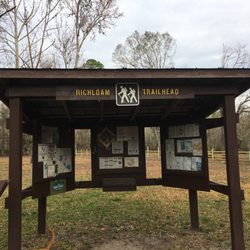 Withlacoochee State Forest