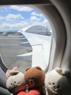 Hawaiian Airlines by null