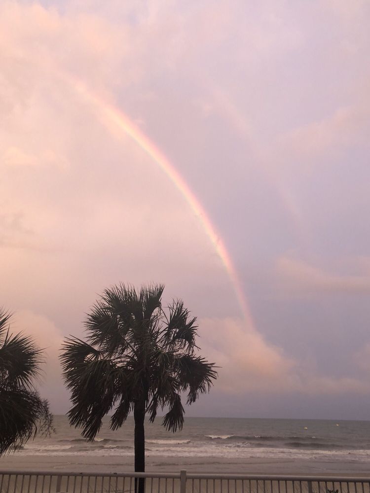 aqua-adventures-45-photos-50-41st-ave-isle-of-palms-south