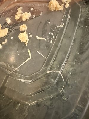 Minglewood Harborside by null