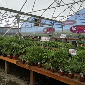 Terra Gardens Nursery & Bark - Nurseries & Gardening Near Me - Salem, Oregon