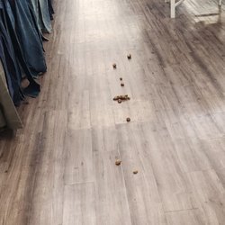 Walmart Supercenter - This was in an aisle at Grand Island Nebraska Walmart North this morning. Absolutely disgusting.