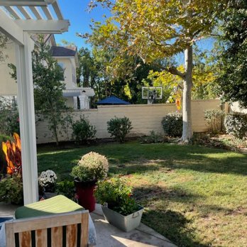 Freddy's Tree Service - Tree Services Near Me - Anaheim, California Freddy's Tree Service - Tree Services Near Me - Anaheim, California
