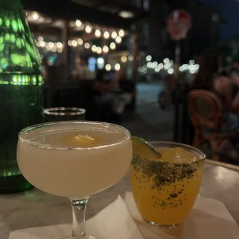 Hotel Delmano - Rose and Gin - Perros y gatos (right) - Lounges Near Me - Brooklyn, New York