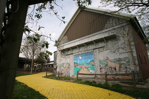 Curtis Orchard & Pumpkin Patch by null