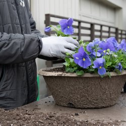 McArdle's Floral & Garden Design