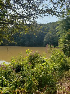 Morgan Falls Overlook Park by null