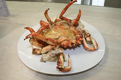 La Medusa 73 by null