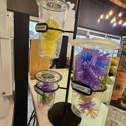 Real Fruit Bubble Tea