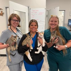 Above & Beyond Veterinary Hospital