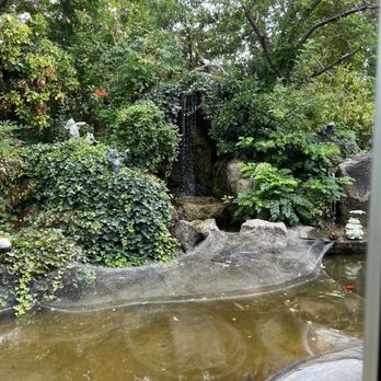 Casa De Benavidez - A garden scene featuring dense green foliage, a small waterfall cascading over rocks, and a pond with a slightly murky surface. Decorative statues are placed among the plants, and the area is shaded by tall trees, creating a peaceful outdoor environment. - Mexican Near Me - Albuquerque, New Mexico