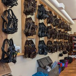 Quillin Leather & Tack - Wall of Halters