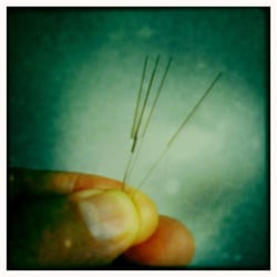 Yong Kang Chinese Medicine Clinic - Acupuncture needles are thinner than a cat whisker. They comfortable, and  usually lead people into deep state of quietude.