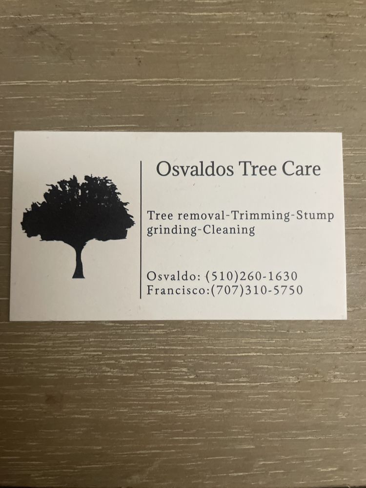 MADYS TREE CARE Updated September 2024 62 Selfridge St, Vallejo