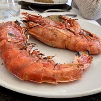 Bellavista - Seafood Near Me - Messina, Maine