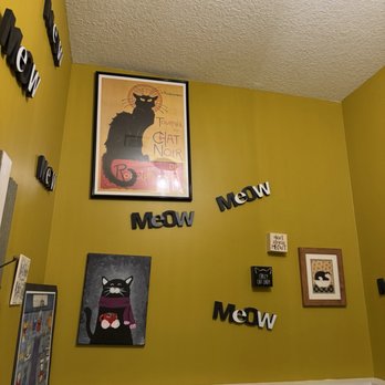 The Witty Whisker Cat Cafe - Themed Cafes Near Me - St. Augustine, Florida The Witty Whisker Cat Cafe - Themed Cafes Near Me - St. Augustine, Florida