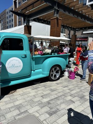 Merriweather District by null