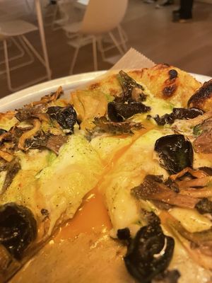 abc kitchens dumbo by null