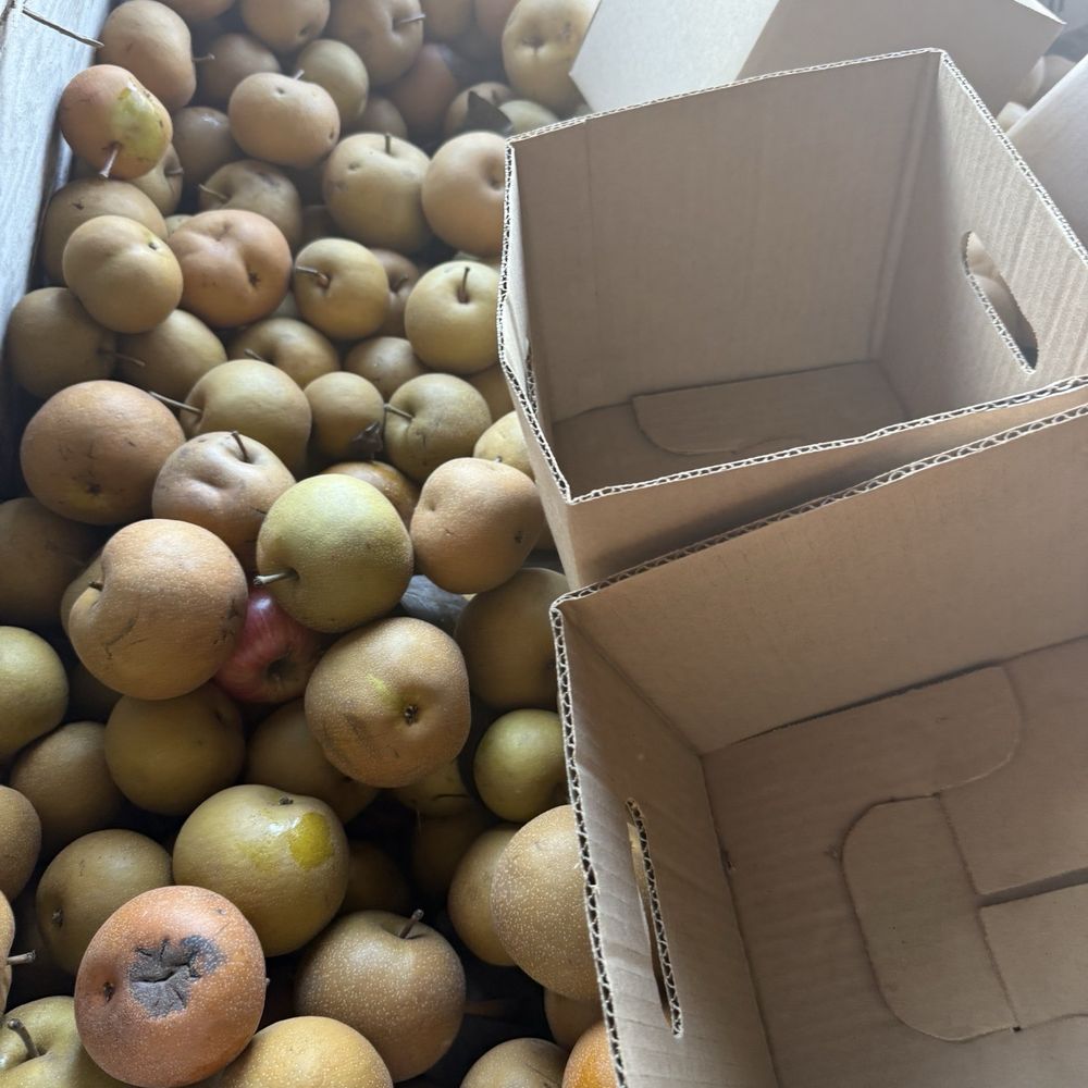 Boa Vista Orchards - Fruits & Veggies Near Me - Placerville, California