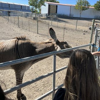 American Made Farm Sanctuary - ZONKEY! - Petting Zoos Near Me - Petaluma, California
