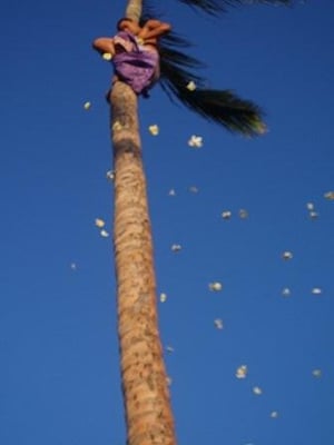 Paradise Cove Luau by null