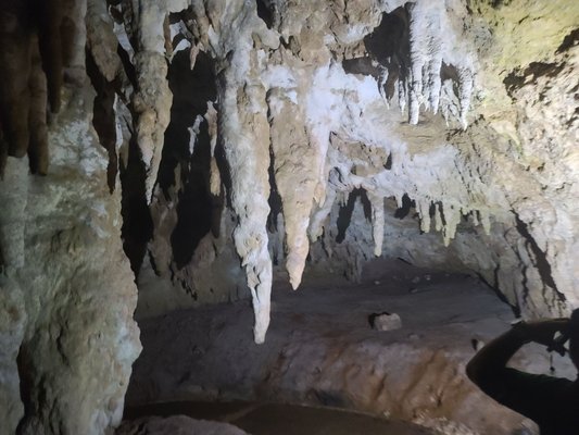 Parque Nacional de las Cavernas del Río Camuy by null