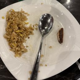 Chicken Fried Rice( with onions everyone) onions everywhere