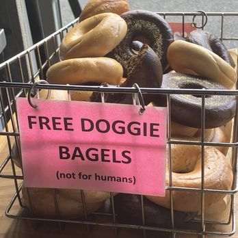 Blazing Bagels - Free doggie bagels - Bakeries Near Me - Redmond, Washington