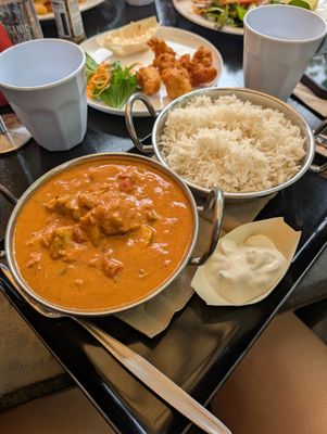 Frogs Kuranda by null