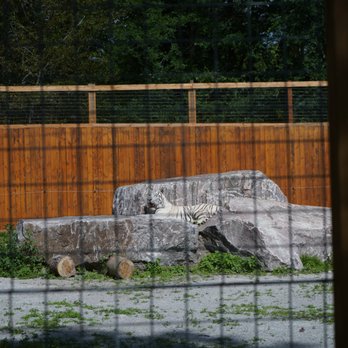 Elmvale Jungle Zoo - Zoos Near Me - Elmvale, Ontario
