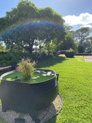 Mānoa Heritage Center by null