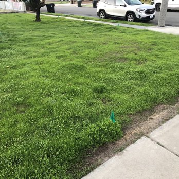 TPS Landscaping - Landscaping Near Me TPS Landscaping - Landscaping Near Me