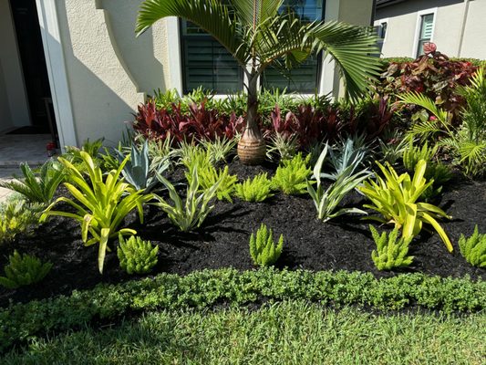 Top 10 Best Plants for South Florida Landscape: Stunning & Easy-Care Choices 4 Top 10 Best Plants for South Florida Landscape: Stunning & Easy-Care Choices